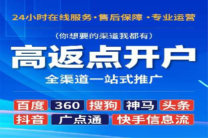 成功SEM代理案例：精准投放的策略